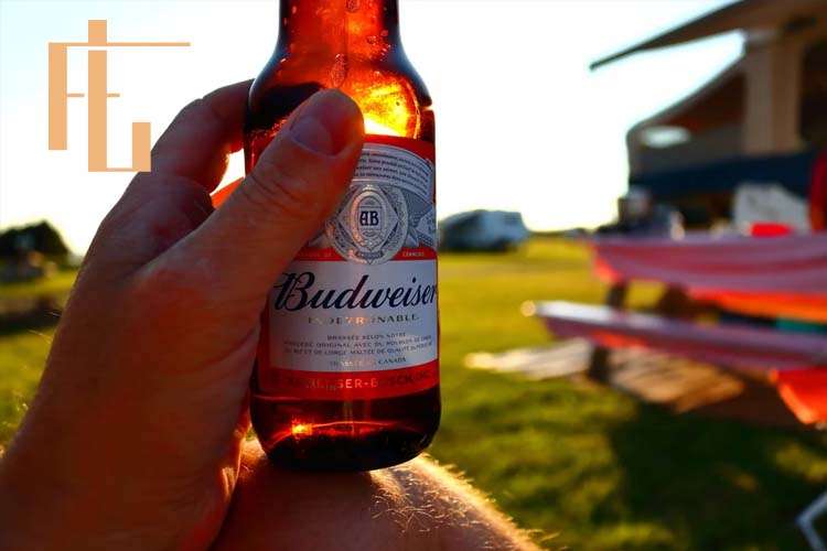 Budweiser Top 5 Selling Beers in the USA